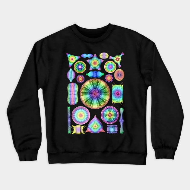Ernst Haeckel Rainbow Diatoms Crewneck Sweatshirt by Scientistudio